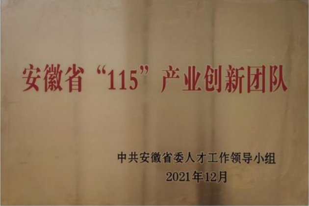 2019年入选安徽省首批十大“高峰学